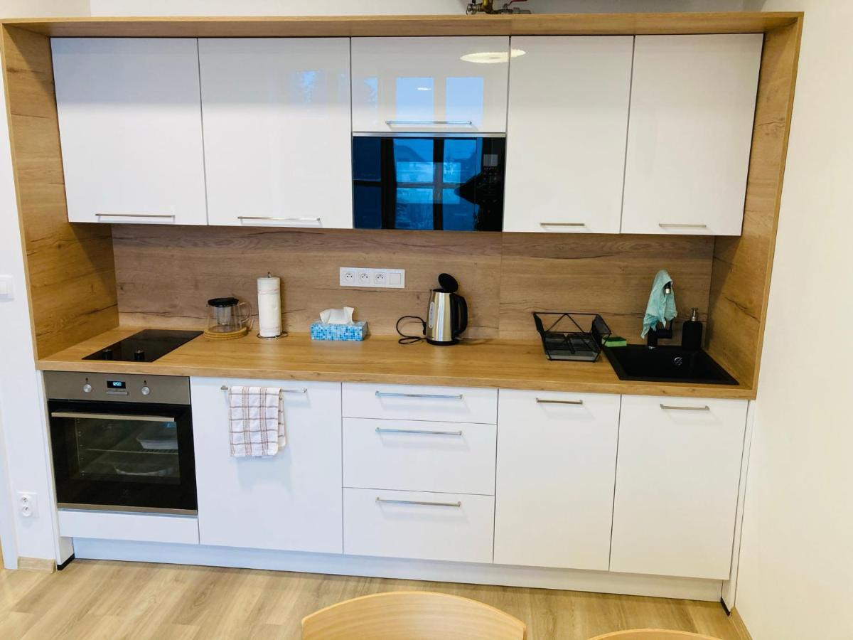 Residence Kotel Rokytnice nad Jizerou Εξωτερικό φωτογραφία