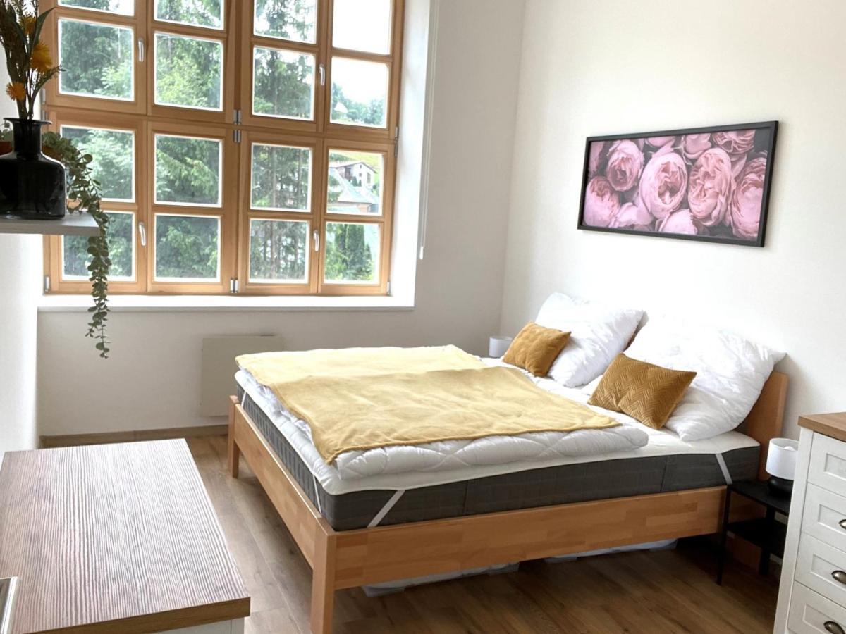 Residence Kotel Rokytnice nad Jizerou Εξωτερικό φωτογραφία